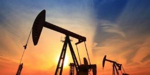ارتفاع
      أسعار
      النفط
      مع
      تقلص
      مخزونات
      الخام
      الأمريكية