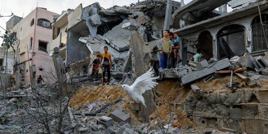 حركة
      الجهاد:
      فصائل
      المقاومة
      وافقت
      على
      مقترح
      حماس
      للتهدئة
      في
      غزة